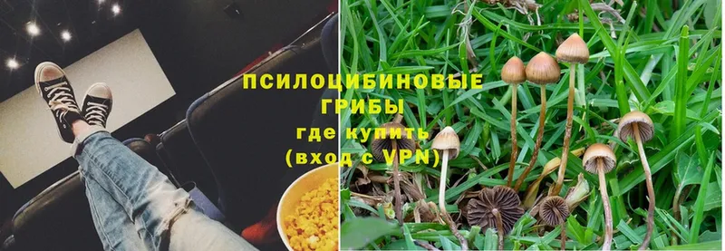 Галлюциногенные грибы MAGIC MUSHROOMS  ОМГ ОМГ ссылки  Малая Вишера 