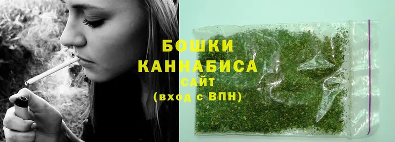 Бошки марихуана OG Kush  Малая Вишера 